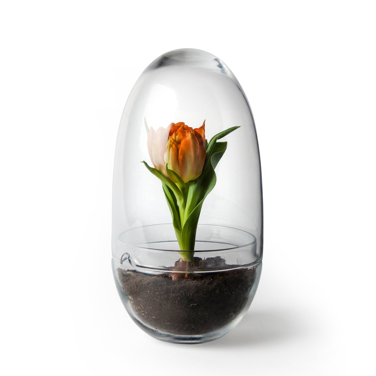Grow-idätysastia Medium