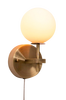 Lampetti Kalwa