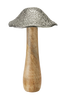 Sieni Amba