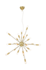 Kattovalaisin Ray