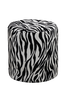 Rahi Pisa