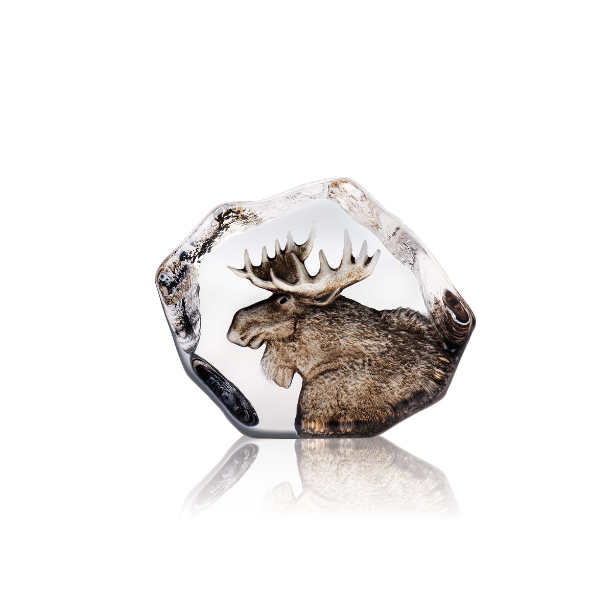 Hirvi Wildlife Ltd Ed 299 ex lasiveistos 11x9,5 cm