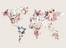 Juliste Worldmap flowers light