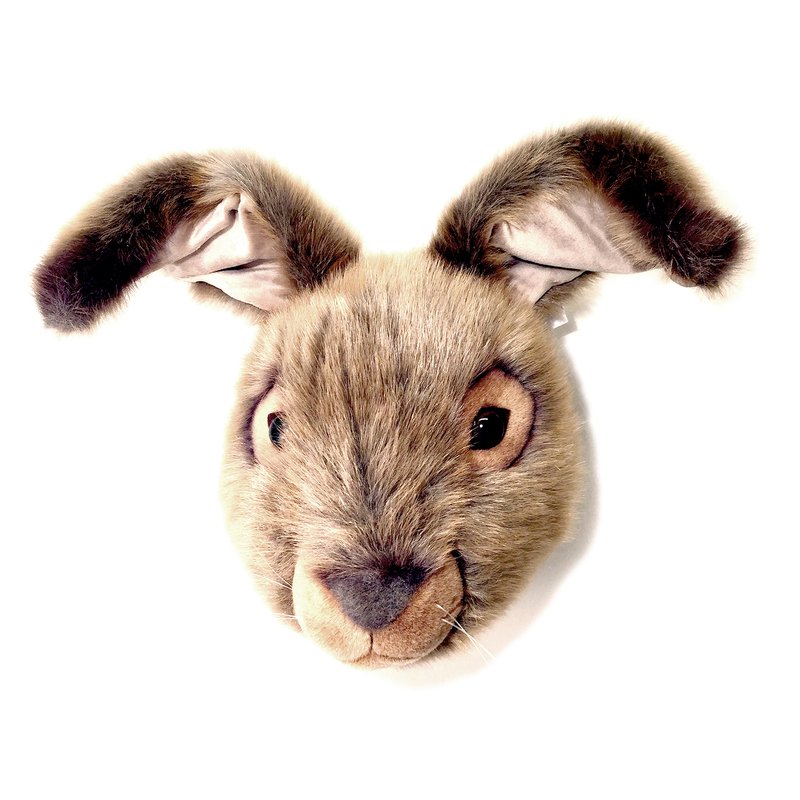Pupupehmolelun pää seinälle pupunpää