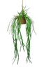 Riippukasvi Verde ja ruukku
