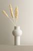 Indian corn, 3/pakk.