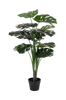 Tekokasvi Monstera, K90 cm