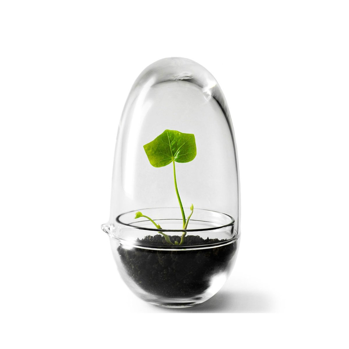 Grow-idätysastia pieni