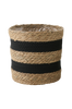 Koriruukku, 24 cm