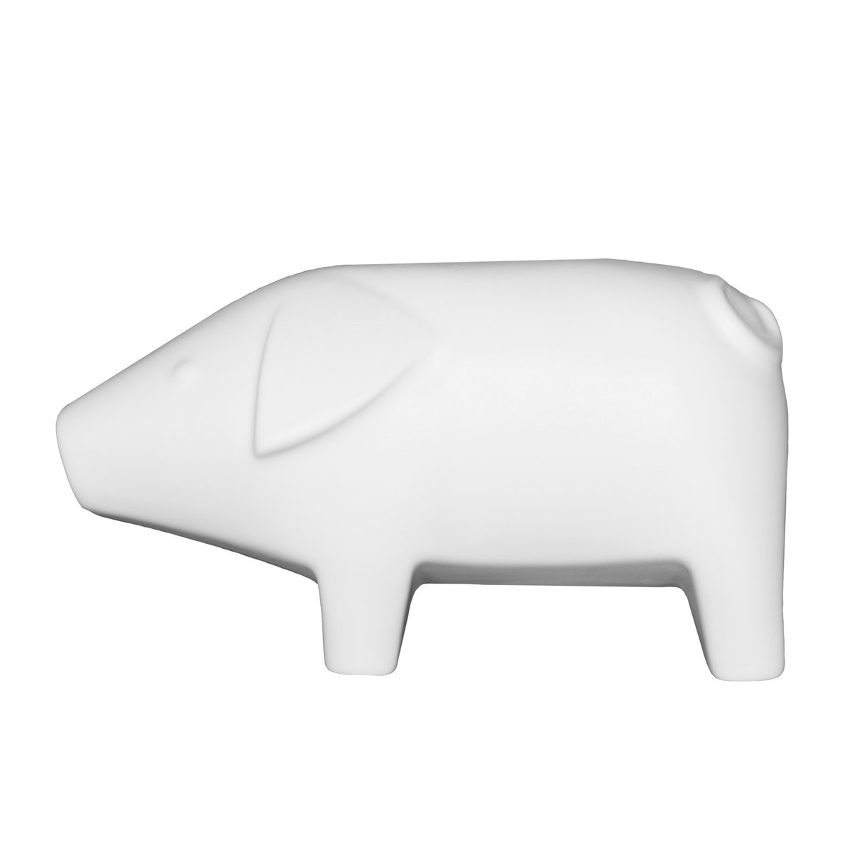 Swedish pig large White