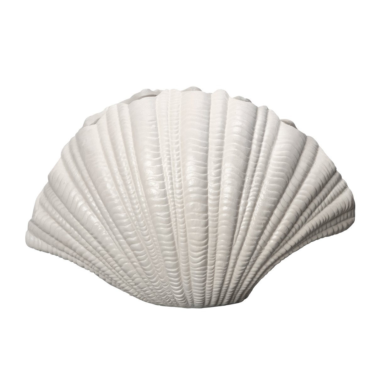 Shell maljakko Valkoinen