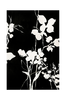 Juliste Silhouet Leaves 1