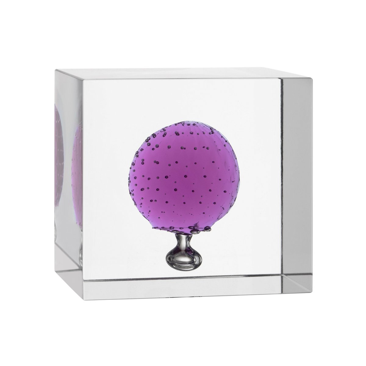 Iittala vuosikuutio 2021