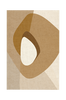 Juliste Picasa brown light 2