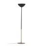 Lattiavalaisin Eglantina