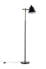 Lattiavalaisin Skott