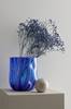 Gypsophila, sininen