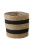 Koriruukku, 28 cm