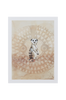 Juliste MEERCAT 30x40 cm