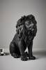 ROAR koristehahmo Musta