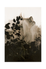 Juliste Silhouet Leaves 2