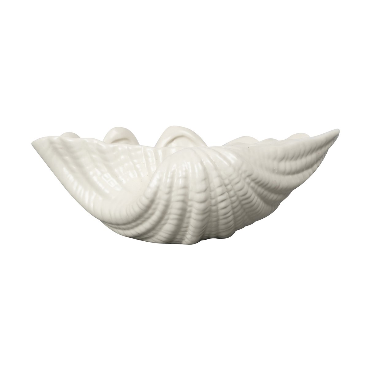 Shell kulho 16 x 23 cm