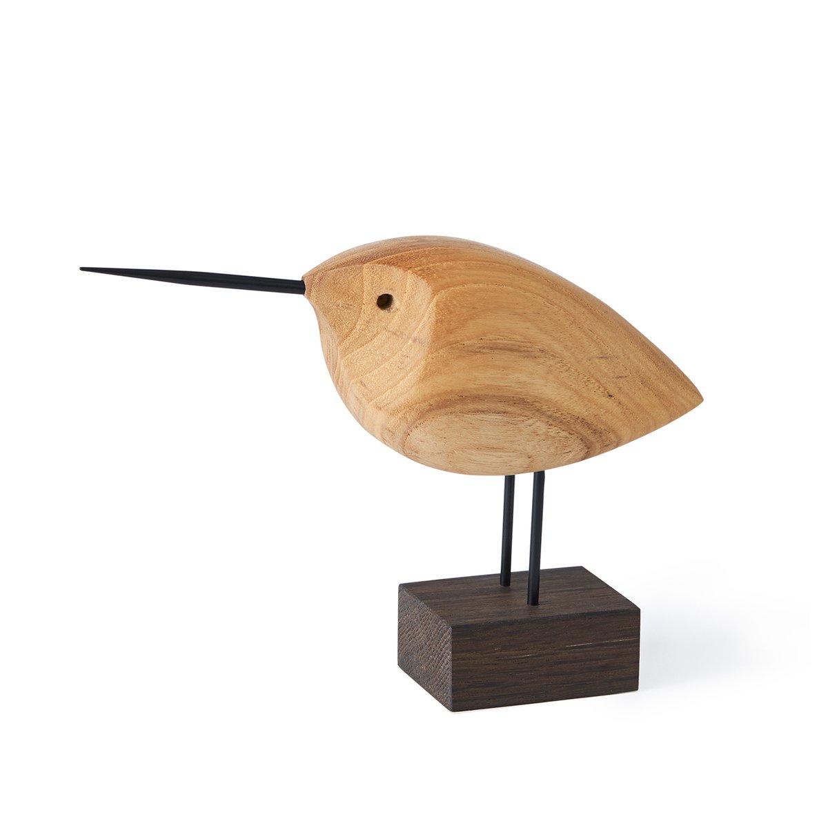 Beak Bird -koriste Awake Snipe