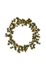 Kranssi Larix
