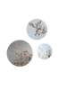 Taulu Botanical, 3 osaa