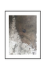 Juliste White Moss Stone No 2, 50x70 cm